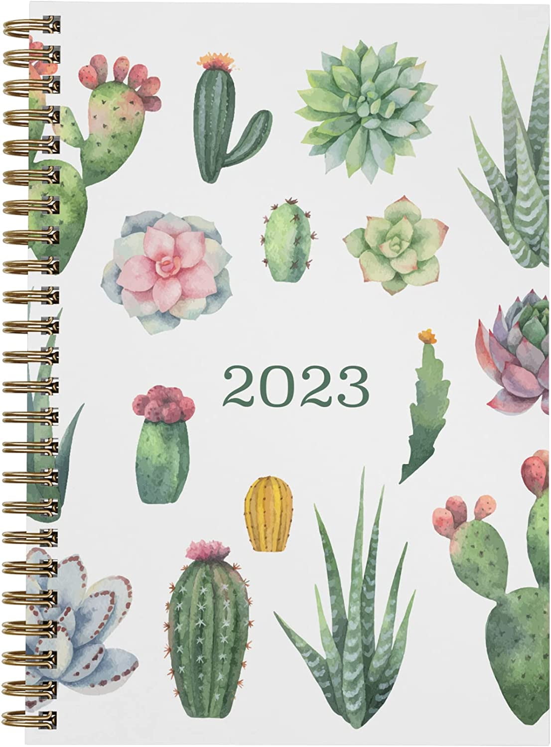 2023 Succulents Annual Planner by Bright Day, Yearly Monthly Weekly Daily Spiral Bound Dated Agenda Flexible Cover Tabbed Notebook, 8.25 x 6.25