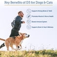 thumbnail image 3 of Rx Vitamins Rx D3 - Cat & Dog Vitamins Liquid D3 Drops in MCT Oil - Vitamin D for Dogs & Cats to Manage Deficiency - Aids in Dog Immune Support and Calcium Absorption - Pet Vitamin D3 - 2oz, 3 of 8