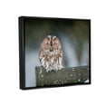 thumbnail image 3 of Stupell Industries Owl Perched Fence Post Wildlife Nature Photography Photograph Jet Black Floating Framed Canvas Print Wall Art, Design by James Dobson, 3 of 5