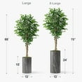 thumbnail image 4 of Artificial Tree in Modern Granite Effect Planter, Fake Ficus Silk Tree for Indoor and Outdoor Home Decoration - 66" Overall Tall (Plant Pot Plus Tree), 4 of 5