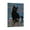 Frame-style, variant on Gustav Klimt, Black Cat In A Garden Wall Art-Funny Black Cat Art Gift Canvas Painting Picture Print Canvas Poster Wall Paint Art Posters Decor Modern Home Artworks Gift 12x18inch(30x45cm)
