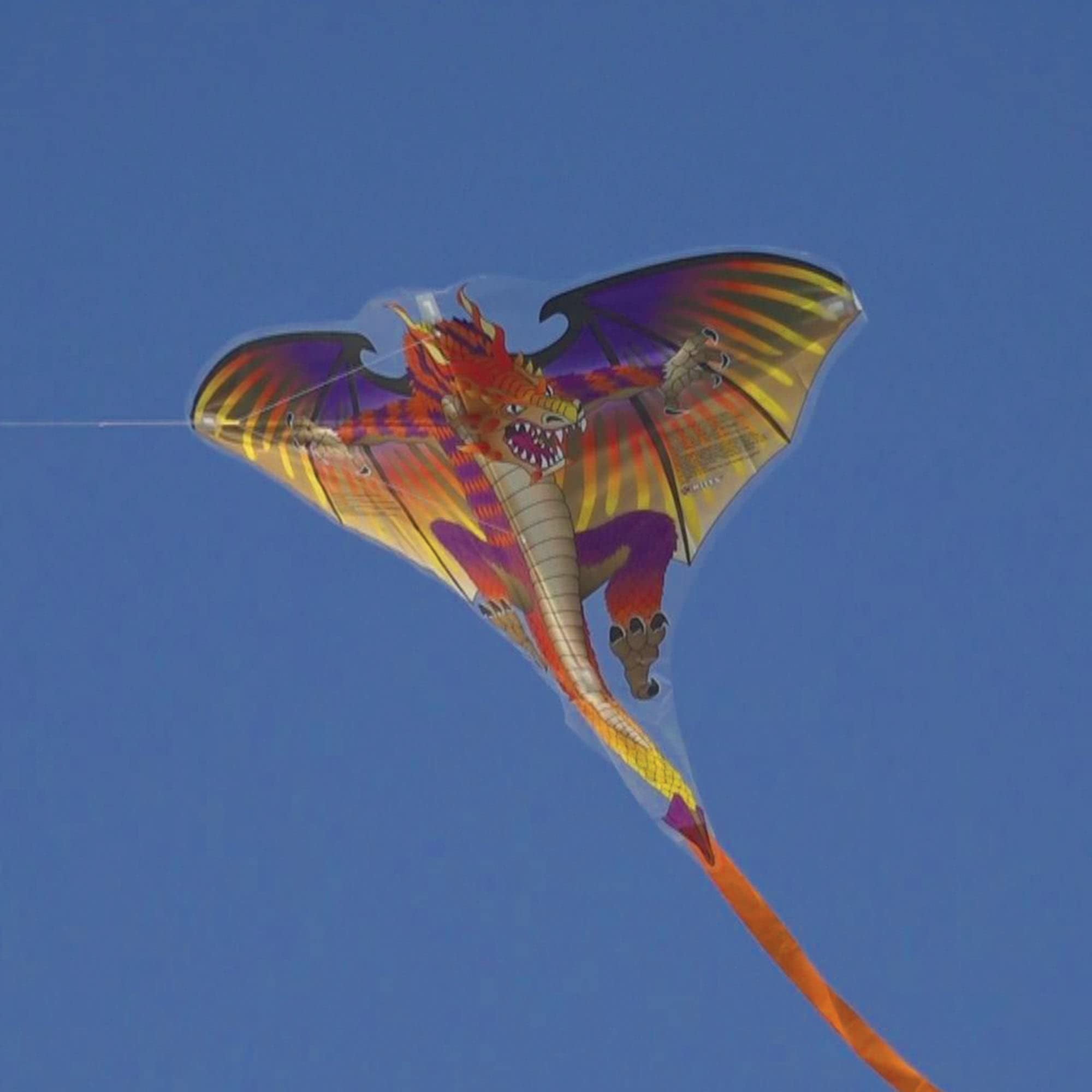 Brainstorm Dragon 28 Kite Fire
