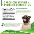 thumbnail image 4 of Ample Nutrition Complete Dog Prebiotic + Probiotic for Dogs, 60ct Chewable Cheesy Bacon Tablets, 4 of 7