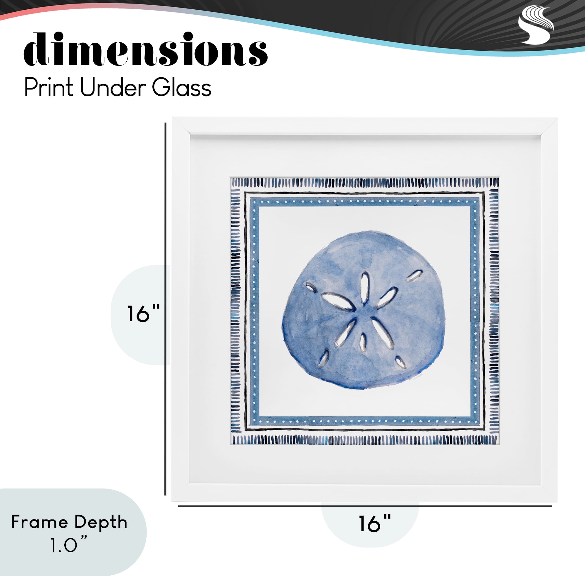 Stupell Industries Blue Bordered Sand Dollar White Framed Print Under Glass, design by Lanie Loreth