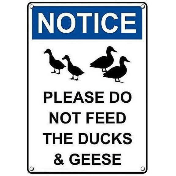 Metal Sign Great Aluminum Tin Sign Notice Please Do Not Feed The Ducks & Geese Sign 8 X 12 Inch