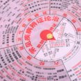 thumbnail image 3 of unbranded De De Medicina Tradicional China Color Rosa Para Estudio Y Clínica Tcm, 3 of 8