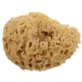 WAXIAYU Natural Bath Sponge Shower Ball Foam Cleansing Body
