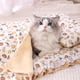 thumbnail image 5 of Juego de 3 mantas para mascotas, colchoneta para dormir con diseño floral para gatos, para todas las estaciones, cama universal para mascotas, cama para gatos, colchoneta para perros y Akmoler, 5 of 6