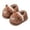 Coffee, variant on Girls Slippers Cartoon Indoor Slippers Home Shoes Warm Footwear Cozy Design For Kids Fall Winter Household And Play Time ,9.5-10 Years