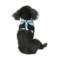 Vibrant Life, Dog Harnesses, Adjustable Walking Pet Harness, Blue, XS