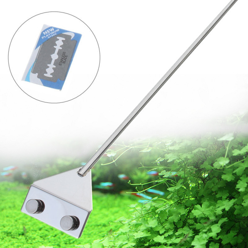 Revolutionize Your Aquarium Cleaning The Best Python Cleaner Video for