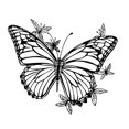 thumbnail image 4 of Decoración de pared con diseño de mariposas, estilo bohemio, para el hogar, 40 x 37,41 cm, ideal para vallas, salas de estar, fiestas y jardines., 4 of 9