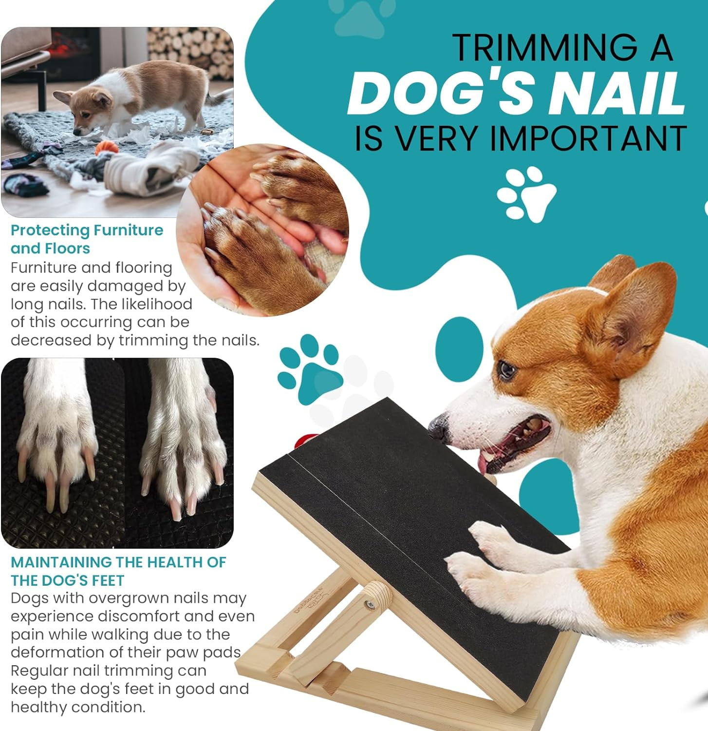Buy Nails Non-Slip Dog Scratch Board with Hidden Treat Compartments -Blue  Online | Brosa