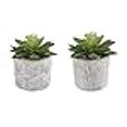 thumbnail image 3 of Flora Bunda CS2243E2 Set of 2 Pattern cement pot, 3 of 4