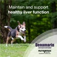 thumbnail image 5 of Nutramax Denamarin Liver Health Supplement for Medium Dogs - with S-Adenosylmethionine (SAMe) and Silybin, 30 Blister Pack Tablets, 5 of 7