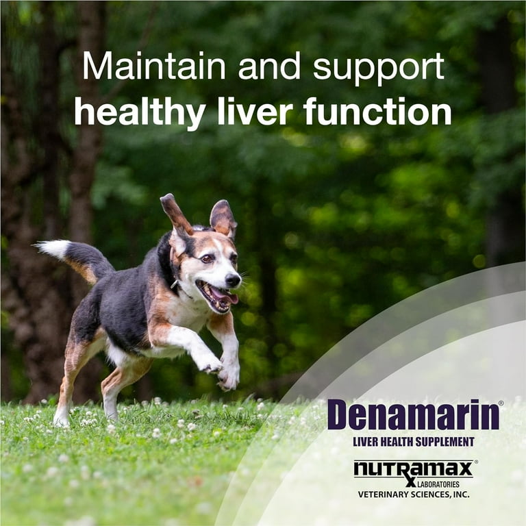 Nutramax Denamarin Canine Liver Health Supplement with SAMe
