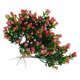 thumbnail image 1 of unbranded 12Ud Ramos De Flores Artificiales Duraderas Para En Casa Y Celebraciones Rosa, 1 of 8