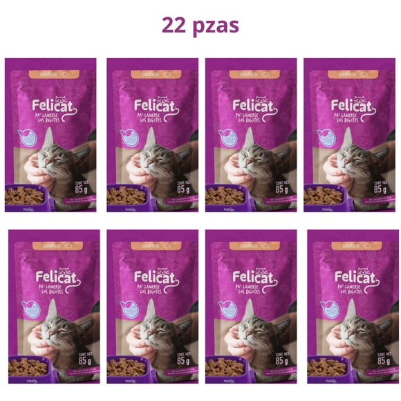 Caja Alimento Humedo Sobre Felicat 95 gr (22 Pzas)