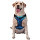 thumbnail image 1 of Fotbe Wolf Arnés para Perro con Estampado –Chaleco Ajustable Acolchado con Asa de Control para Perros Grandes-Medium, 1 of 6