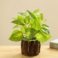 thumbnail image 2 of Fake Plant Plant Realistic: Wooden Pot Artificial Plant Desktop Plant Decoration, 2 of 2