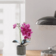 thumbnail image 3 of "Arreglo Orquídeas Artificiales Decoración 43 Cm Belug, Violeta ", 3 of 5