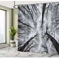 thumbnail image 5 of Ambesonne Horror Shower Curtain, Dark Winter Forest Tree, 69"Wx75"L, Black Grey, 5 of 5