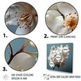 thumbnail image 3 of Designart "Still Life Photography Of White Orchids IV" Orchids Floater Framed Canvas Wall Art, 3 of 5