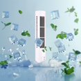 thumbnail image 4 of Dianli Portable Tower Fan Air Conditioner with Two Speed Settings Simulating Natural Wind Quiet Cooling Device for Home Office Bedroom Soothing Airflow Hot Savings & Everyday Bargains, 4 of 5