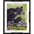 thumbnail image 5 of Art.com Black Bears Art Print by Fred Szatkowski, Black Frame Wall Art, 17" x 21", 5 of 5
