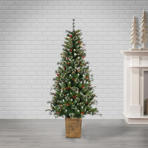 Gerson 6 ft. Pre Lit Clear UL Potted Hard Needle Glazier Pine