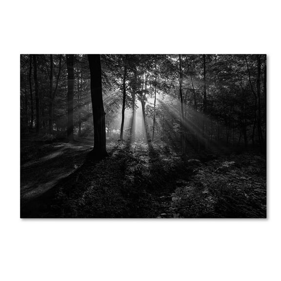Leif Londal 'A Sunny Morning' Canvas Art