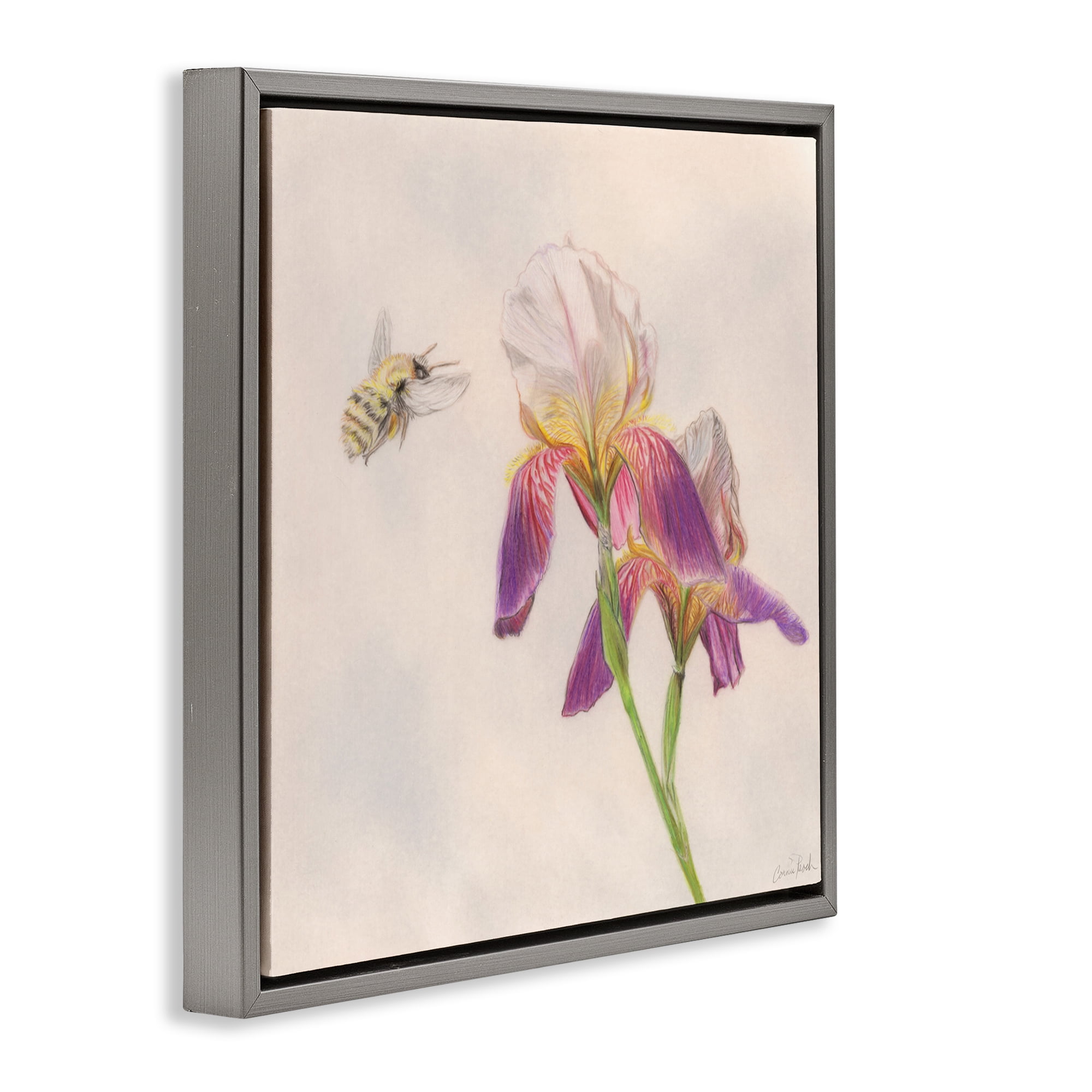 Stupell Industries Spring Offerings Bee Animals & Insects Painting Gray Floater Framed Canvas Art Print Wall Art, 25 x 25