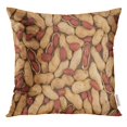 thumbnail image 1 of EREHome Brown Groundnut Peanuts Seed Placed on Oil Pillow Case 16x16 Inches Pillowcase, 1 of 1