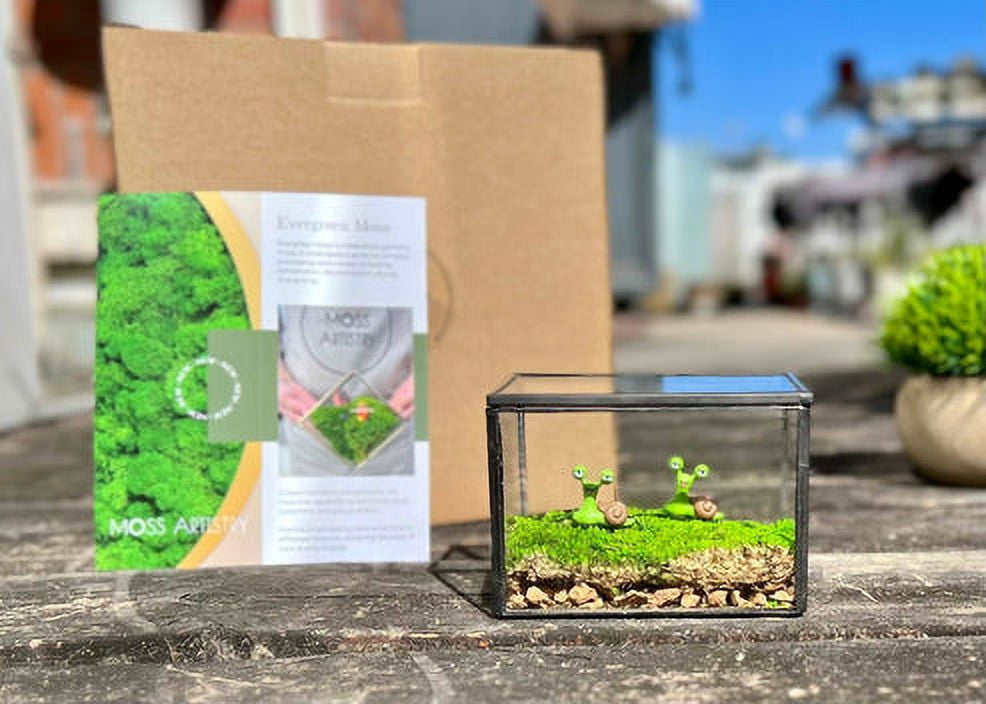 Smile Snail Desktop Decoration Micro Landscape Lawn Handmade Decor Preserved Moss Art