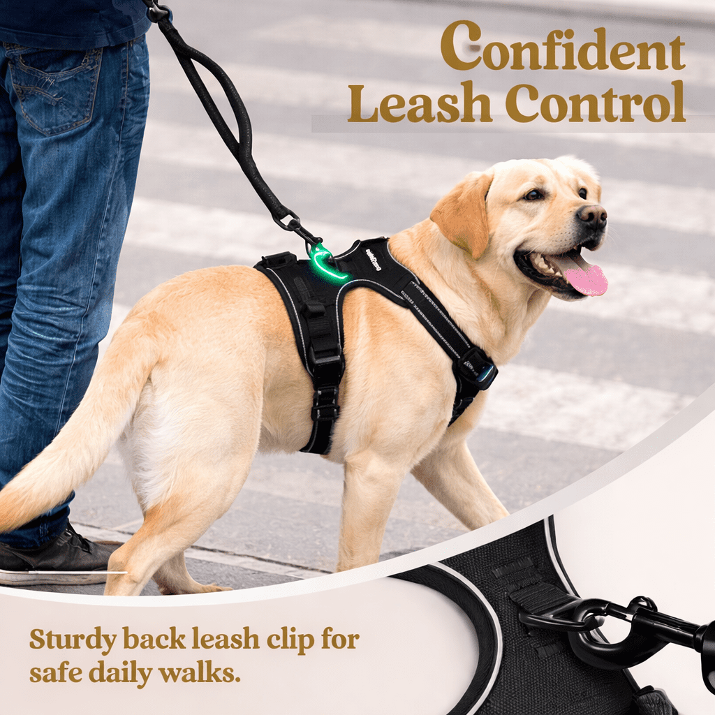 Adjustable No Pull Dog Harness with Leash and Poop Bag Dispenser Set – Reflective and Comfortable for Walking & Outdoor Activities