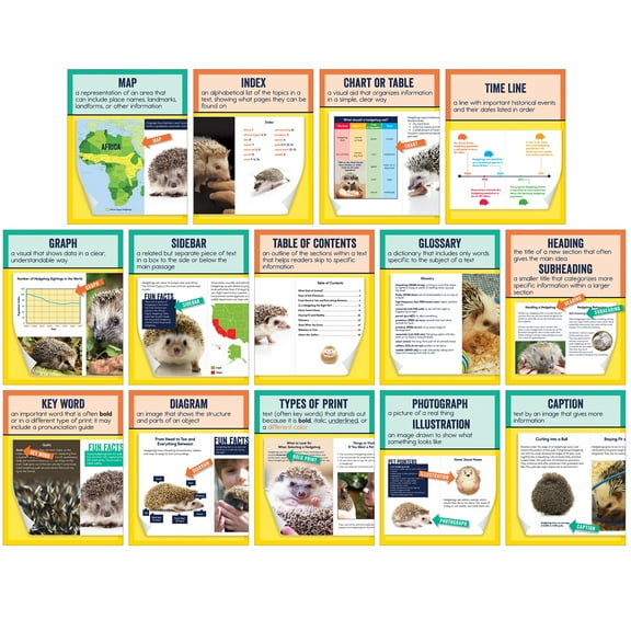 Carson Dellosa Mini Posters: Nonfiction Text Features Poster Set (14 mini posters) Grade 1-6