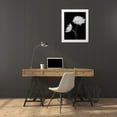 thumbnail image 3 of Poinski, Dianne 15x18 White Modern Wood Framed Museum Art Print Titled - Black and White Roses 4, 3 of 4