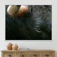 thumbnail image 2 of Close-Up Of Eye Fighting Bull Head 32 in x 16 in Framed Photography Canvas Art Print, by Designart, 2 of 5