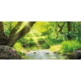 thumbnail image 4 of Forest Piggy Bank, Stream Cascade in Tropical Forest Among Trees Jungle Woodland Serene Landscape, Ceramic Coin Bank Money Box for Cash Saving, 3.6" X 3.2", Brown Lime Green, by Ambesonne, 4 of 4
