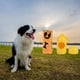 thumbnail image 3 of Bolsas de caca de perro respetuosas medio , bolsas biodegradables para perros por con dispensador de bolsas de caca para - Naranja 16 Naranja 16Rollo Yinane Bolsas para desechos de caca, 3 of 7