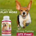 thumbnail image 4 of Suplemento Amazing Nutritionals de arándano para perros, 120 unidades masticables, 4 of 5
