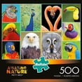 thumbnail image 1 of Buffalo Games Amazing Nature Pretty Birds 500 Piece Jigsaw Puzzle, 1 of 5