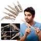 thumbnail image 1 of Fiudx Ofertas Flash Del Día Rompecabezas De Madera, Cuchillo De Mariposas, Cuchillo Plegable, Modelo Tridimensional, Juguete, Conjunto De Rompecabezas Para Niño, 1 of 2