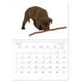 thumbnail image 5 of Labrador puppies (Monthly Wall Calendar 2026 16.5 x 23.4 (open)), CALVENDO 14 Month Calendar, 5 of 9