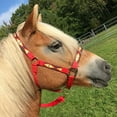 thumbnail image 5 of Tahoe Tack Padded Overlay Nylon Adjustable Halters With Matching 10' Lead for Full Horses, 5 of 6