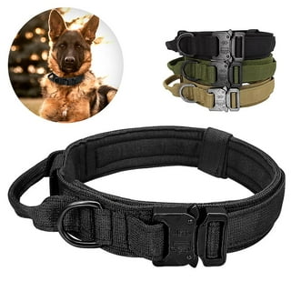 Dog shock collar canadian tire online