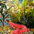thumbnail image 4 of Dpityserensio Printed,Fish Tank Landscaping Decoration Printing Articulated, 4 of 5