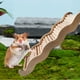 thumbnail image 2 of Hamster Escaleras Jaula Accesorios Escalada Escaleras Loros Entrenamiento L Zulema Escaleras de hámster, 2 of 7