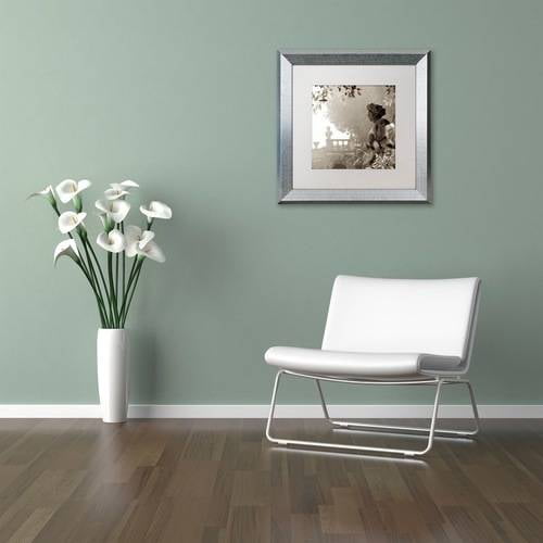 Trademark Fine Art "Tuscany VIII" Canvas Art by Alan Blaustein, White Matte, Silver Frame