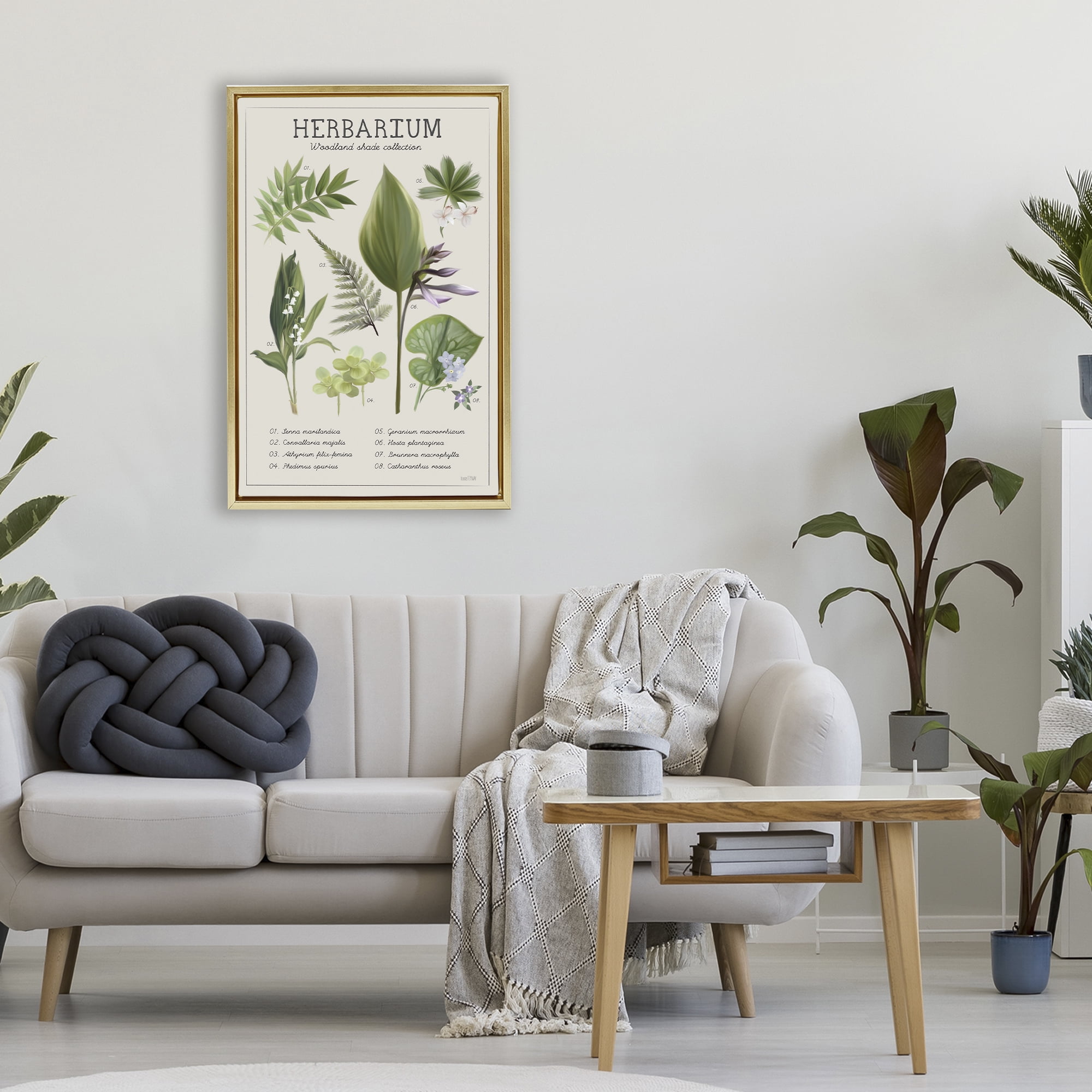 Stupell Industries Herbarium Woodland Shade Collection Gold Framed Floater Canvas Wall Art, design by House Fenway